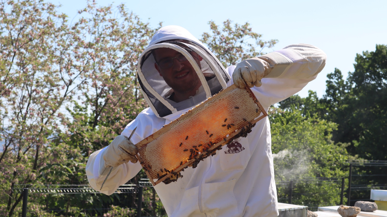 Beekeeper in a veil holding up a frame of golden capped honey covered in honeybees